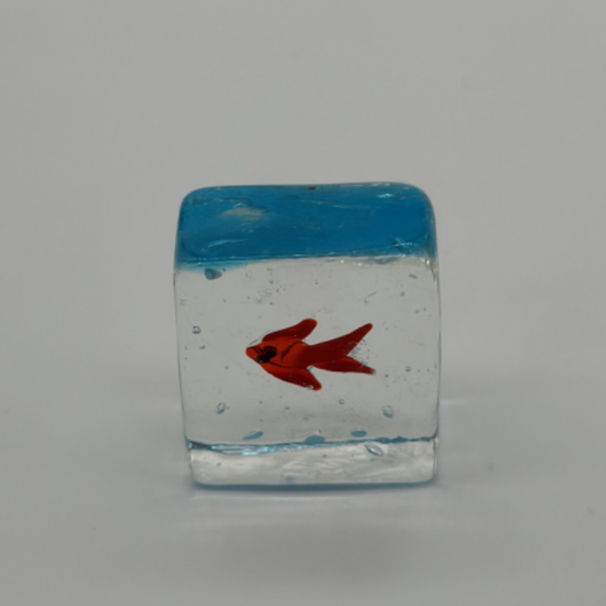 Ice Fish Ice Fish